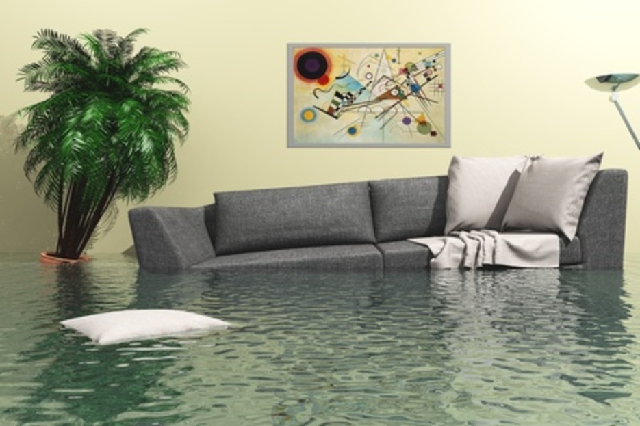 Les dégâts des eaux Les dégâts des eaux