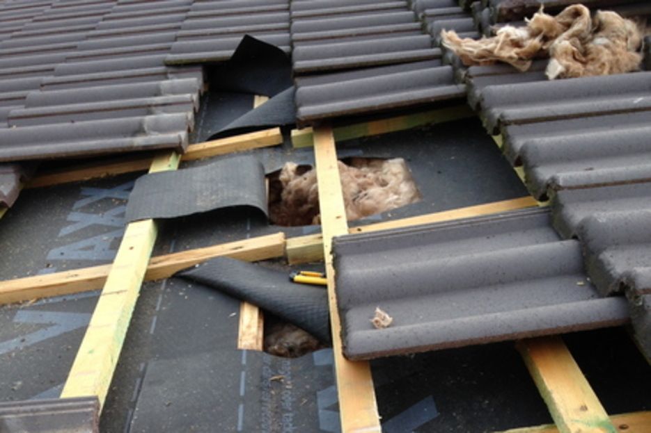 5. Saint Julien : Malfaçons sur pose des lambourdes 5. Saint Julien : Malfaçons sur pose des lambourdes